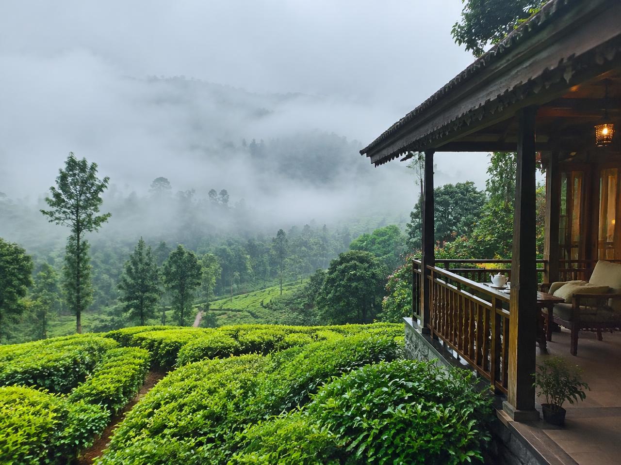 Misty tea plantation estate veranda in Munnar
